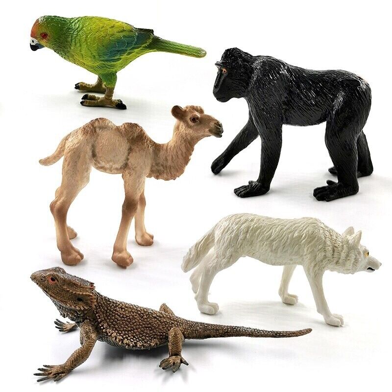 1pc Simulation Lizard Wolf Dog Cat Sloth Animal Miniature Art Toy Figure Doll - - The Drift Art Co.