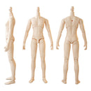 Body - 23/25 YMY body suitable For GSC Head BJD OB Obitsu 11 22 23 Ymy Toy Doll | The Drift Art Co. 6