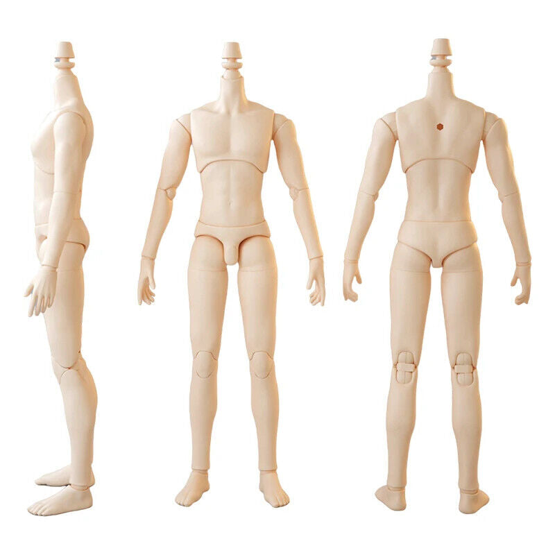 Body - 23/25 YMY body suitable For GSC Head BJD OB Obitsu 11 22 23 Ymy Toy Doll | The Drift Art Co. 6