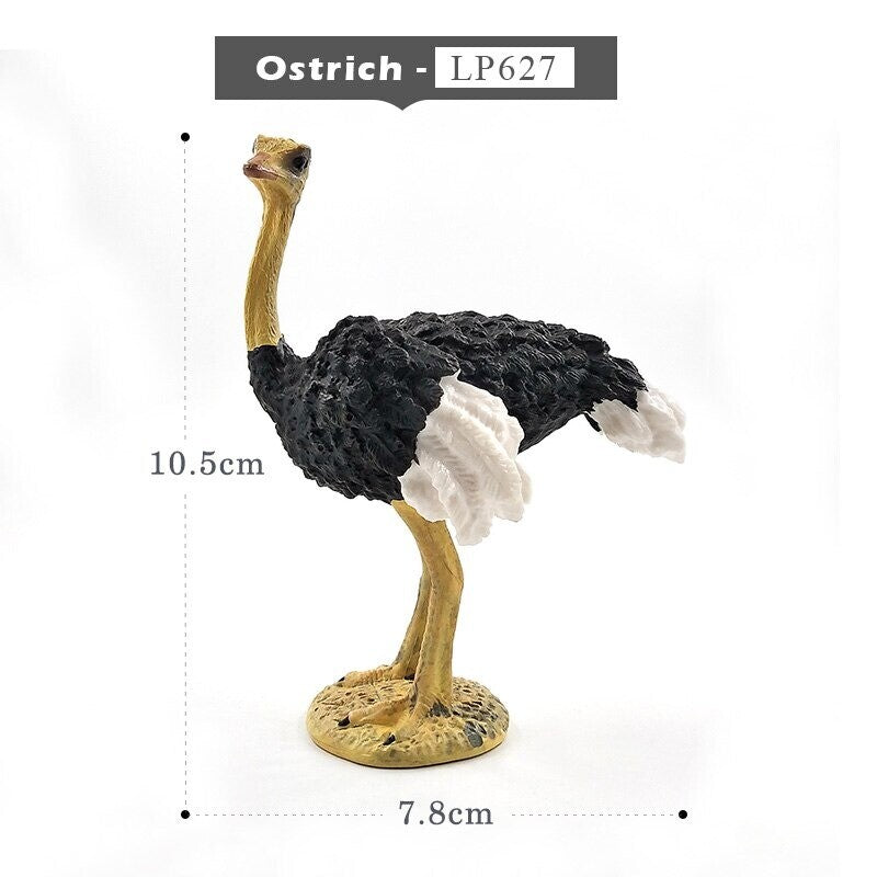 1pc Simulation turkey bird Chicken Farm Animal Miniature Art Toy Figure Doll