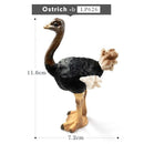 1pc Simulation turkey bird Chicken Farm Animal Miniature Art Toy Figure Doll