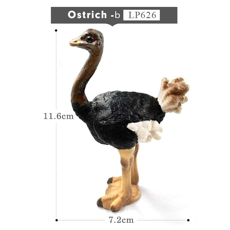 1pc Simulation turkey bird Chicken Farm Animal Miniature Art Toy Figure Doll
