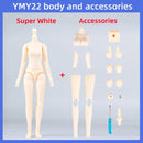 Body - 20cm 21cm YMY 22 24 Blyth, GSC, BJD 1/6 Action Girl Boy Toy Doll | The Drift Art Co. 8